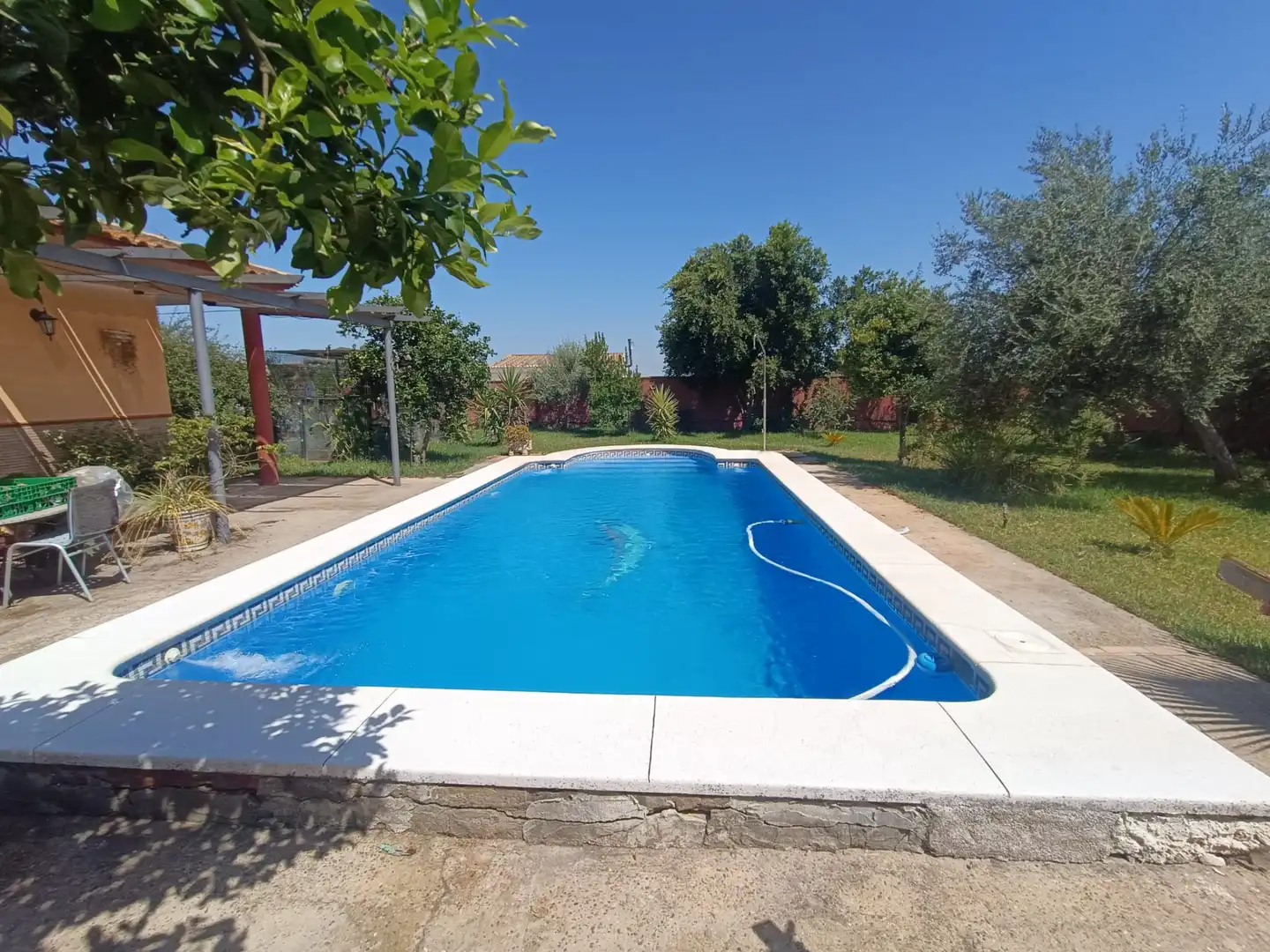 Piscina de Casa o chalet en venta en Pilas con Jardín privado y Piscina