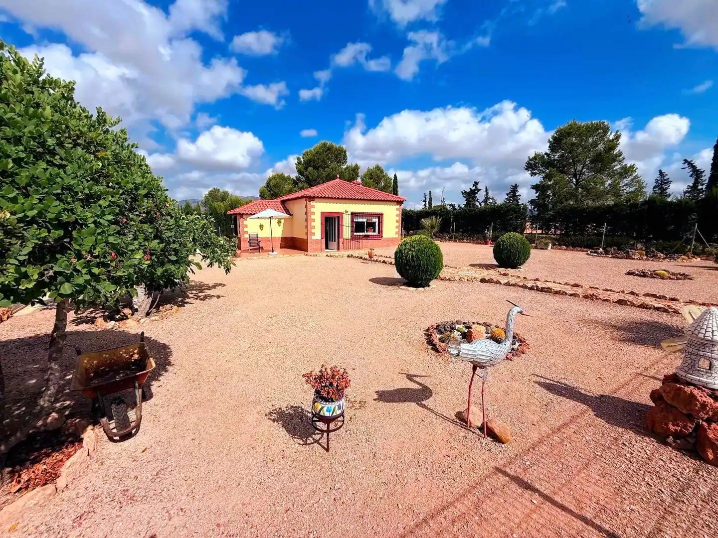 Jardí de Finca rústica en venda en Murcia amb Piscina