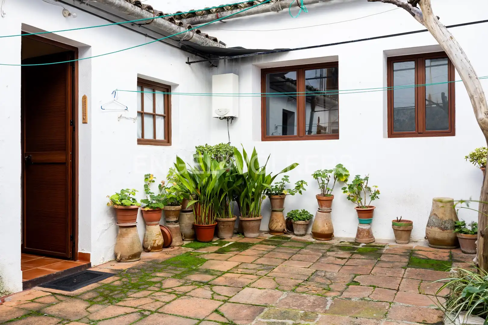 Vista exterior de Casa o chalet en venta en Grazalema con Calefacción y Balcón