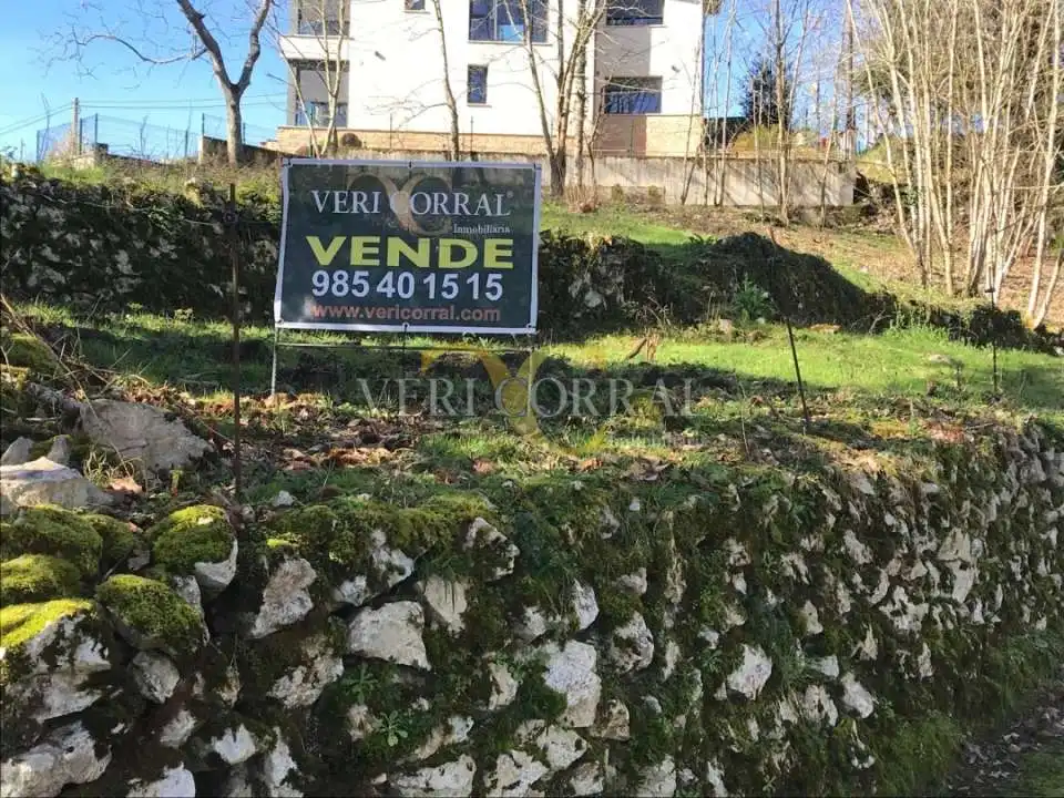 Terreno rustico in vendita a San Roque del Acebal, imagen 12