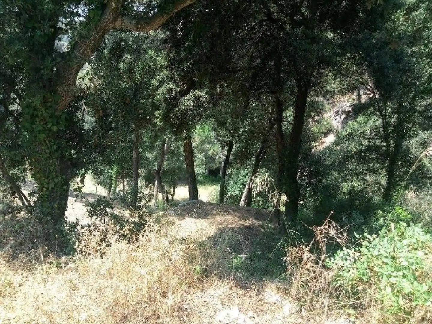 Terrenys i solars en venda a Can Massuet del Far, imagen 6