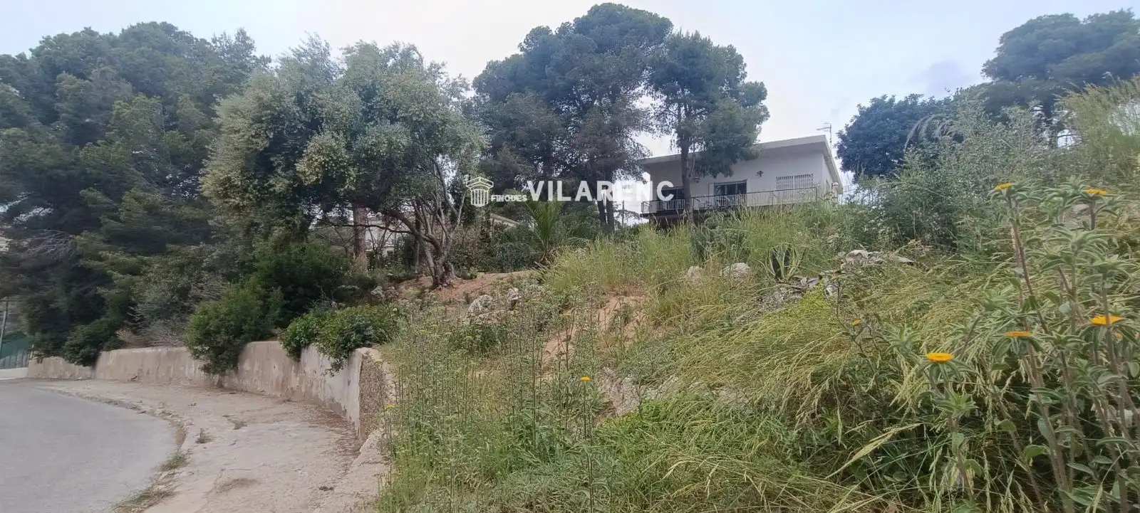 Rural land for sale in SAL, imagen 4