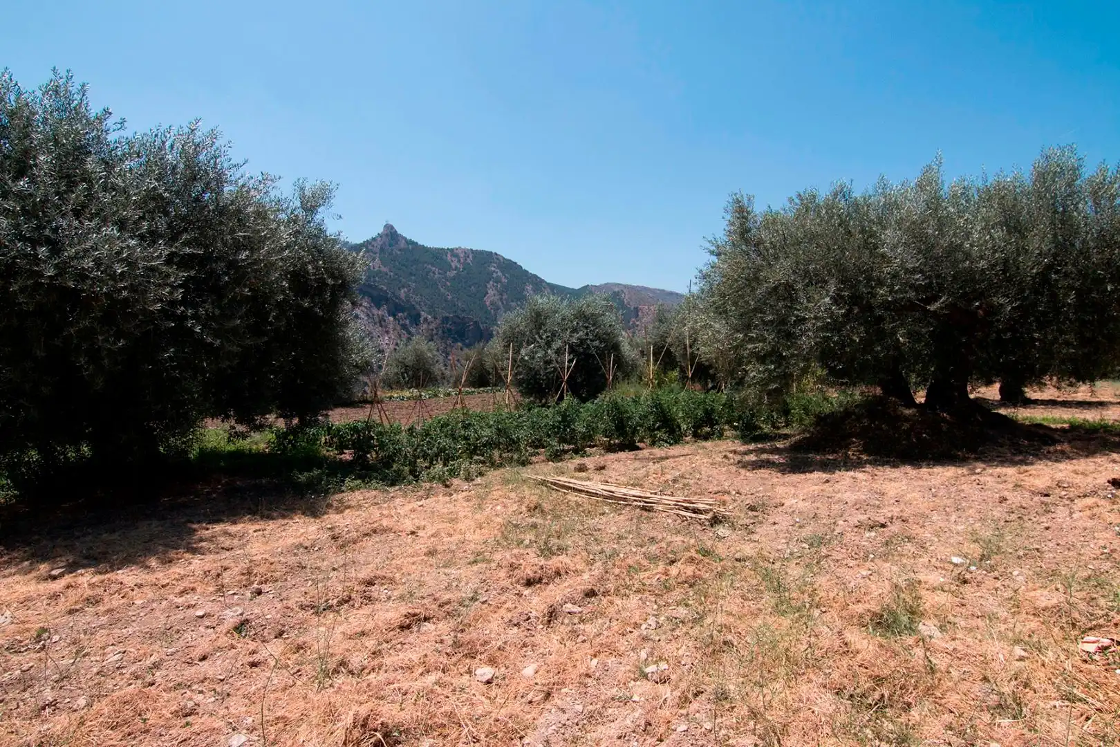 Finca rústica en venta en Güéjar Sierra con Terraza, Piscina y Balcón