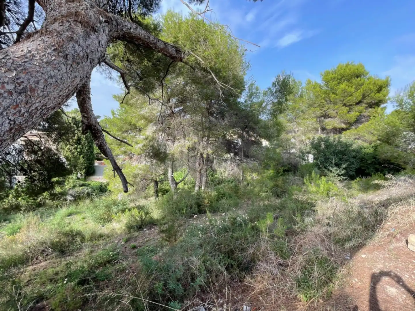 Terreny residencial en venda a El Portet - Pla de Mar, imagen 6