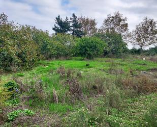 Residencial en venda en Algeciras