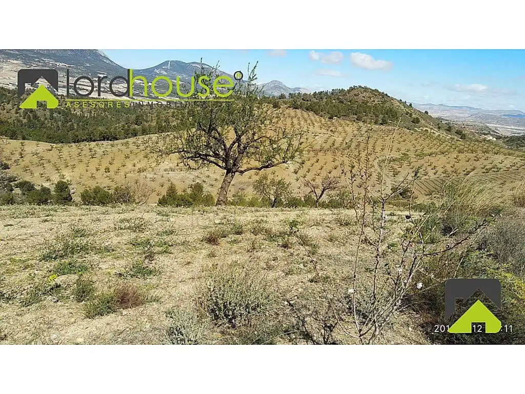 Finca rústica en venta en Lorca