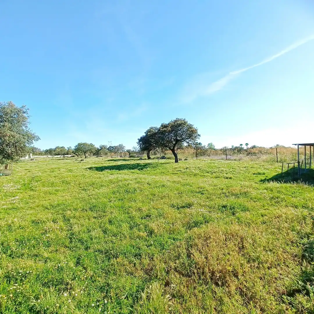 Casa o xalet en venda en Valverde de Mérida amb Aire condicionat