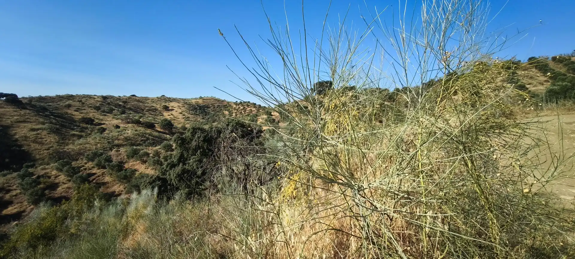 Terreni e lotti in vendita a Álora, imagen 16