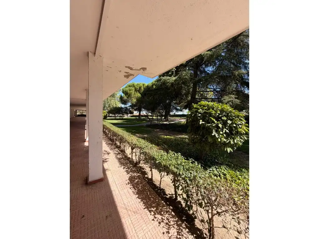 Jardí de Àtic de lloguer en Parque Coimbra