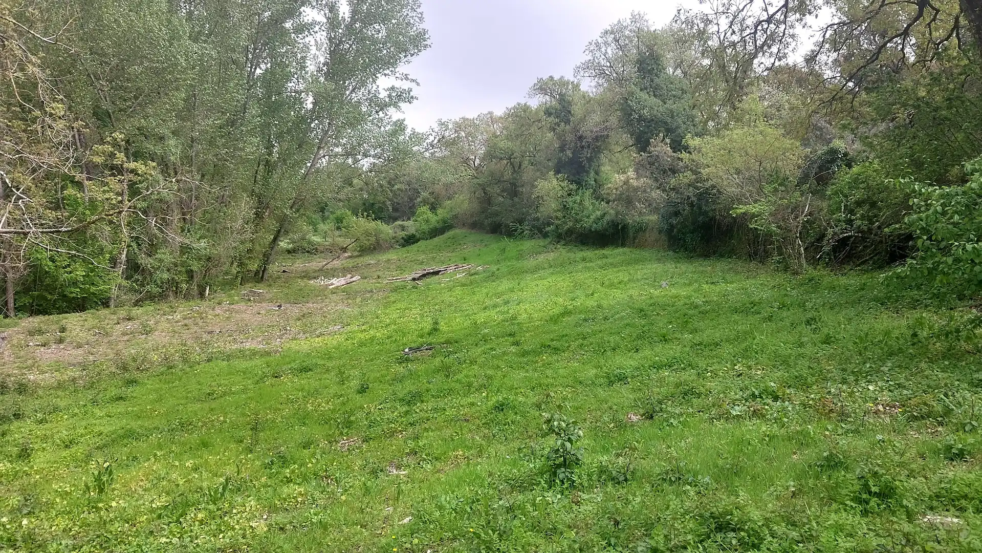 Terreni e lotti in vendita a Galaroza, imagen 11