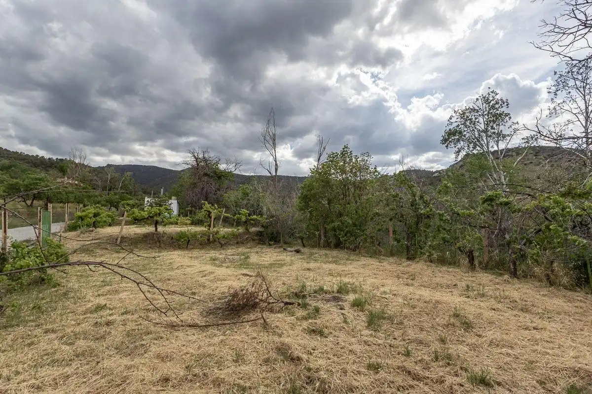 Finca rústica en venta en Dólar con Terraza