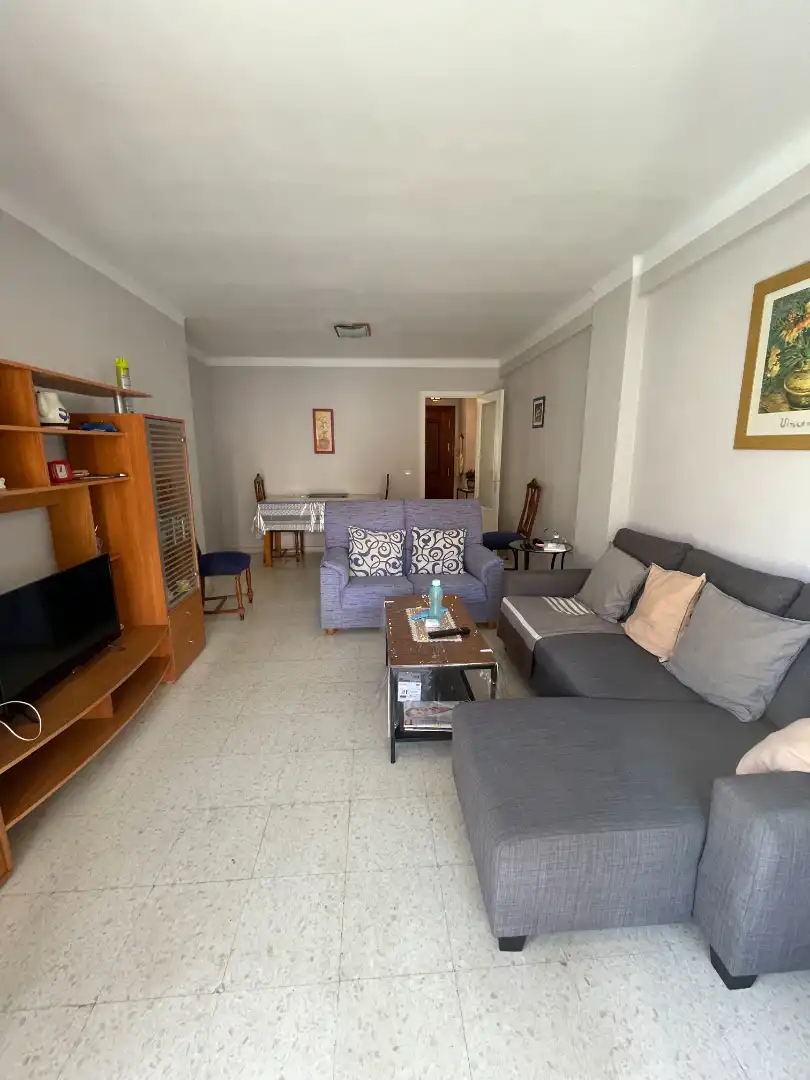 Sala d'estar de Pis en venda en Málaga amb Aire condicionat i Moblat
