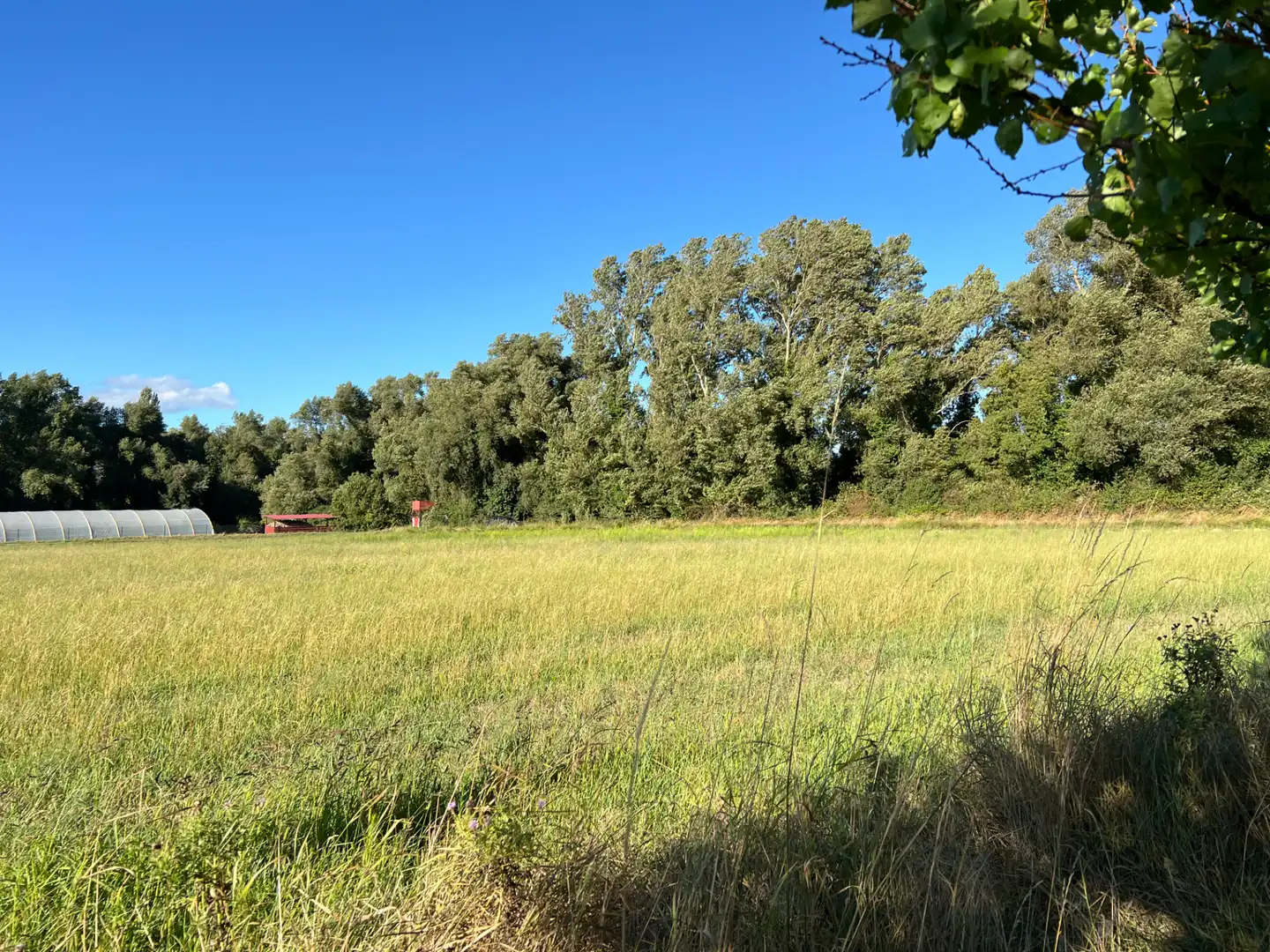 Terreno en venta en Santa Cilia