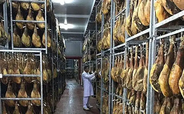 Grundstücke und Bauplätze zum Verkauf in Montilla, imagen 8