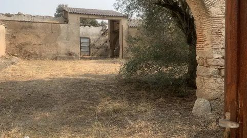 Foto 2 de Finca rústica en venda a Plaza la Nora, 8, Malpartida de Cáceres, Cáceres