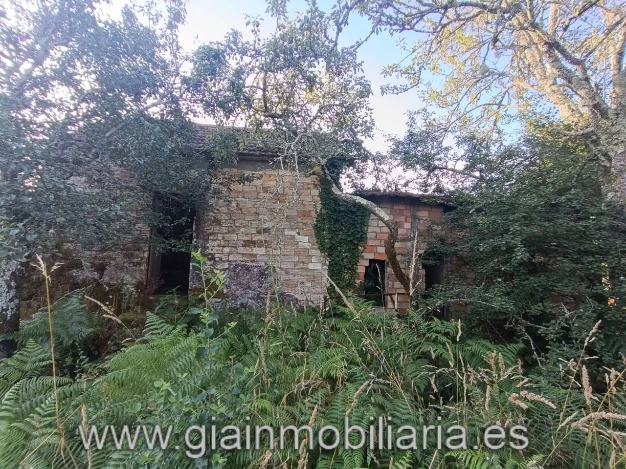 Casa en venta en Calle Ceo, imagen 18