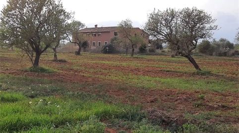 Foto 5 de Finca rústica en venta en Camí de Sant Blai, Zona Rústica - Interior, Campos
