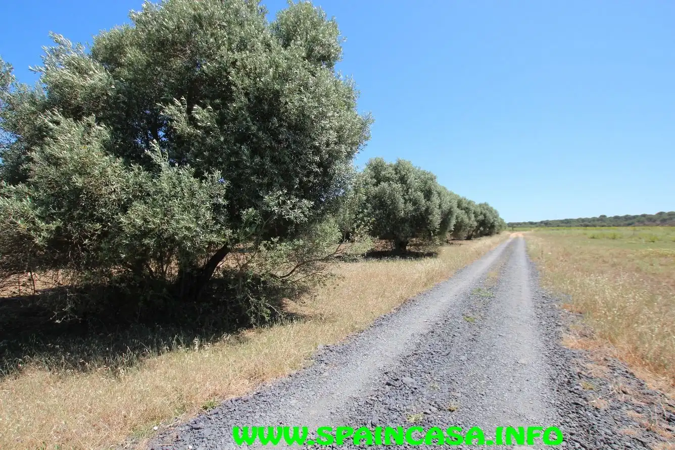 Terrenos y solares en venta en Núcleo urbano, imagen 4