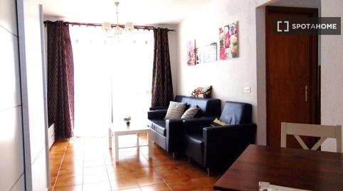 Foto 5 de Apartament per a compartir a Playa de las Américas, Santa Cruz de Tenerife