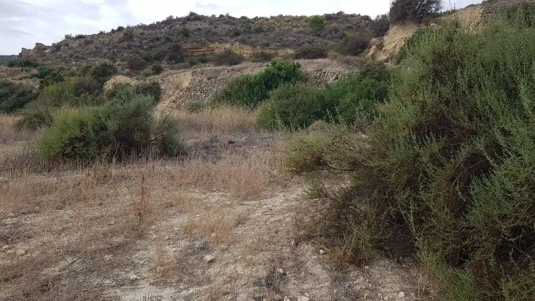 Terrenys i solars en venda a Sorbas, imagen 6