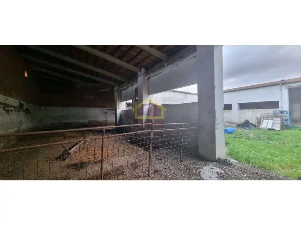 Nave industrial en venta en San Cristóbal de la Cuesta