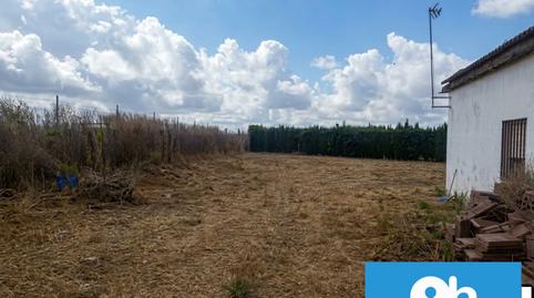 Foto 3 de Finca rústica en venta en Trigueros, Huelva