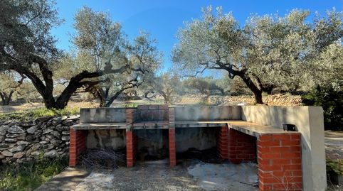 Foto 4 de Finca rústica en venta en Camarles, Tarragona
