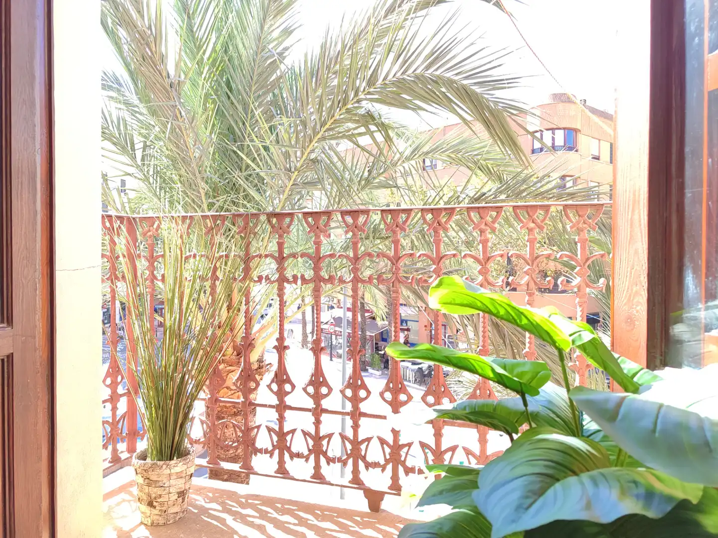 Balcony of Buildings for sale in Aspe  with Community pool