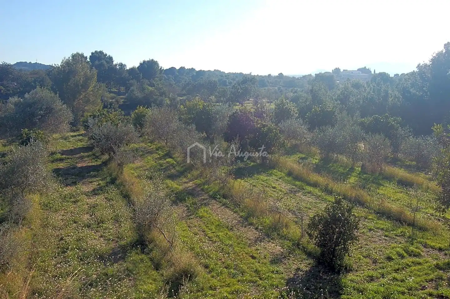 Maison rustique à vendre à Vella De Barcelona, imagen 46