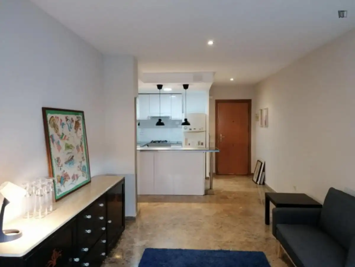 Apartments for rent in Ciutat de les Ciències i de les Arts - Justicia