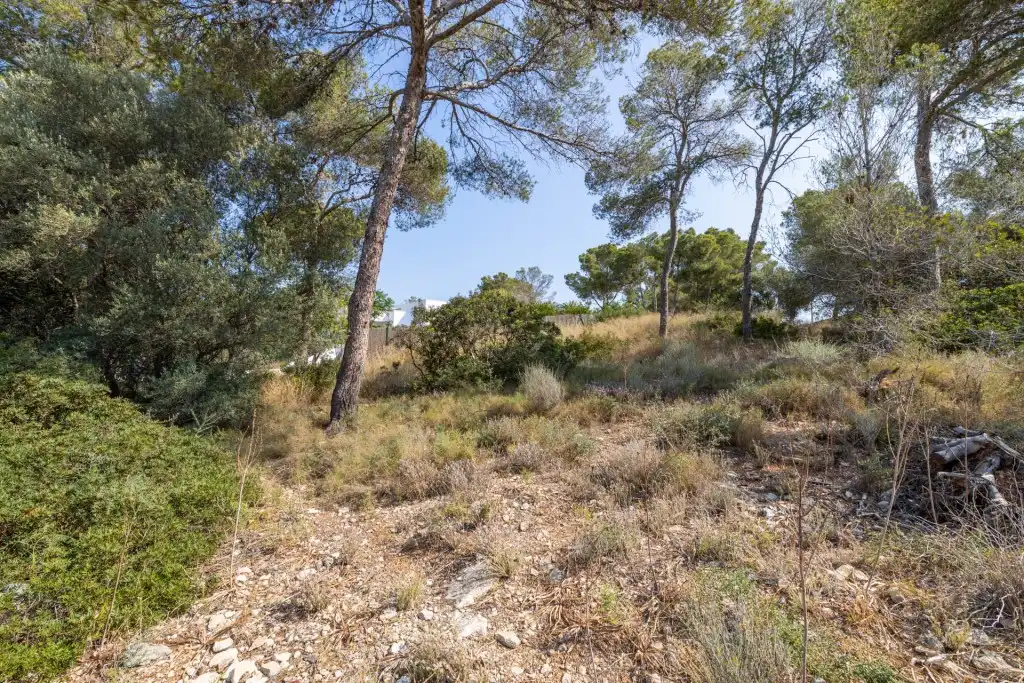 Rural land for sale in Cala Vinyes, imagen 13
