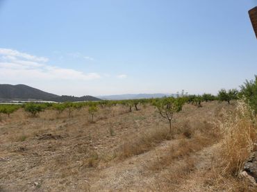 Rustikales Grundstück zum Verkauf in Caravaca de la Cruz
