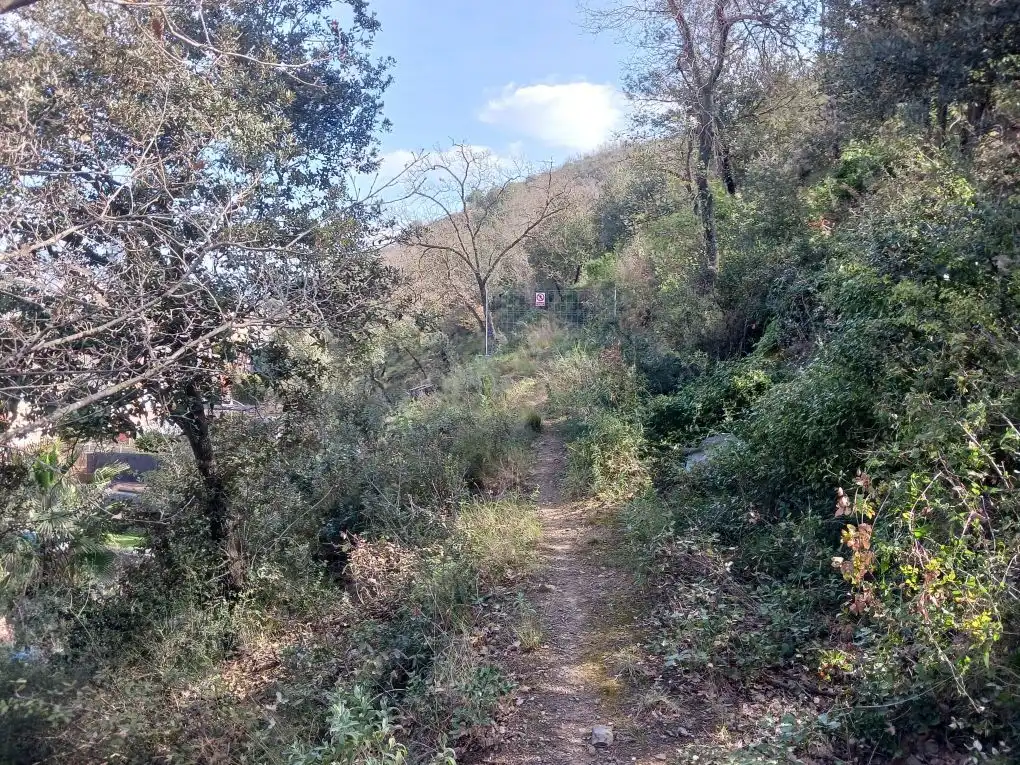 Wohnbaugrundstück zum Verkauf in Cervelló, imagen 3