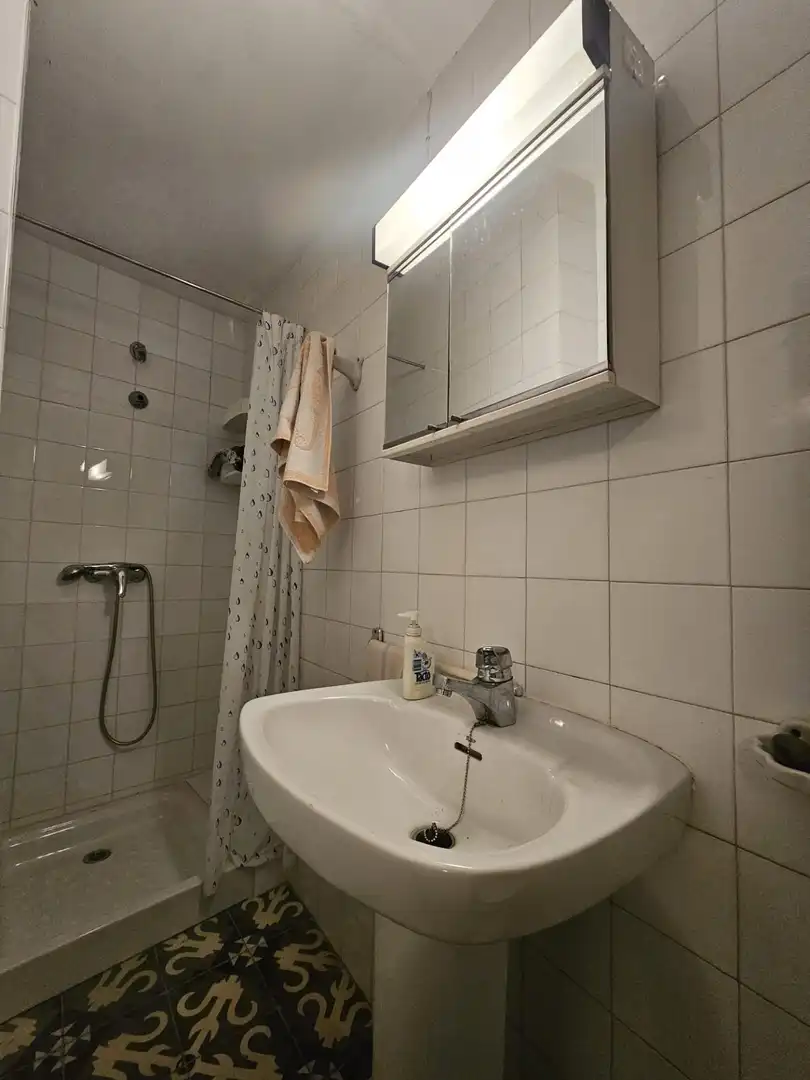 Haus mit Terrasse zum Verkauf in Laujar de Andarax, imagen 5