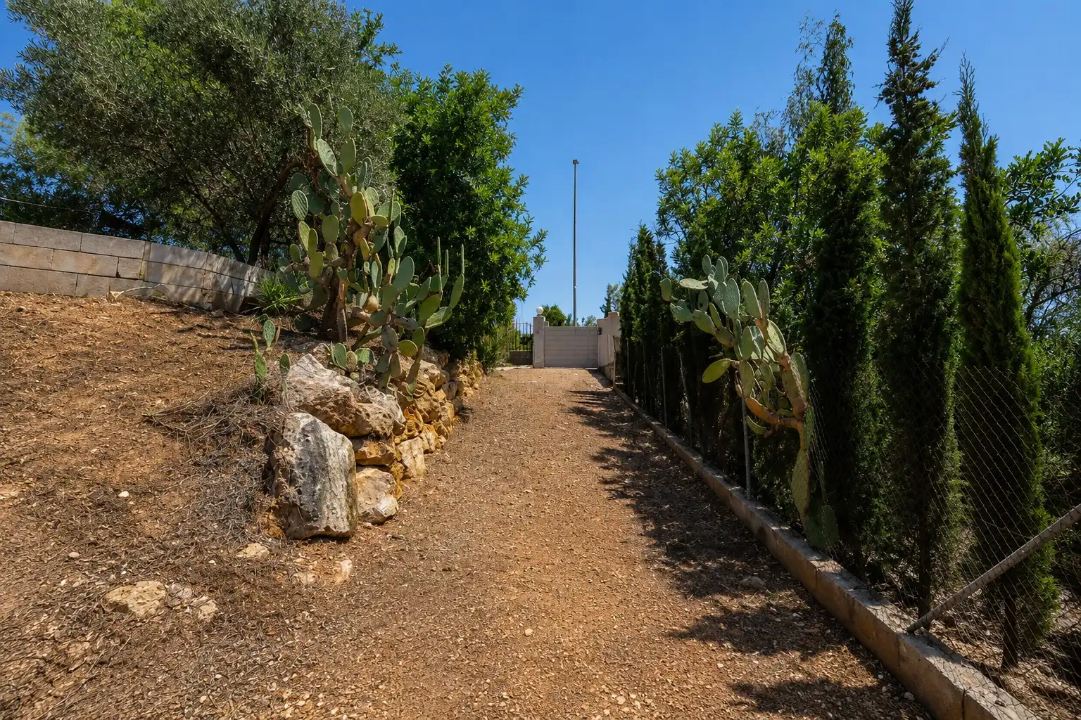 Jardí de Casa o xalet en venda en Alberic amb Jardí privat, Terrassa i Traster
