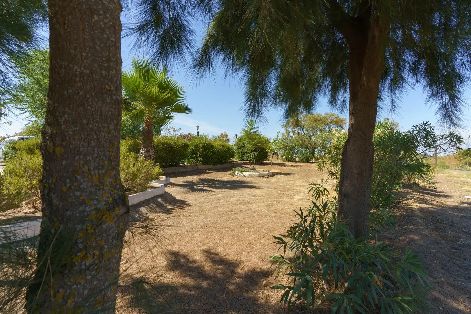 Jardín de Finca rústica en venta en La Palma del Condado con Jardín privado, Terraza y Piscina