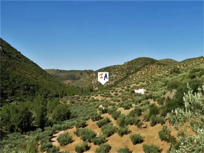 Finca rústica en venda a Fuensanta de Martos