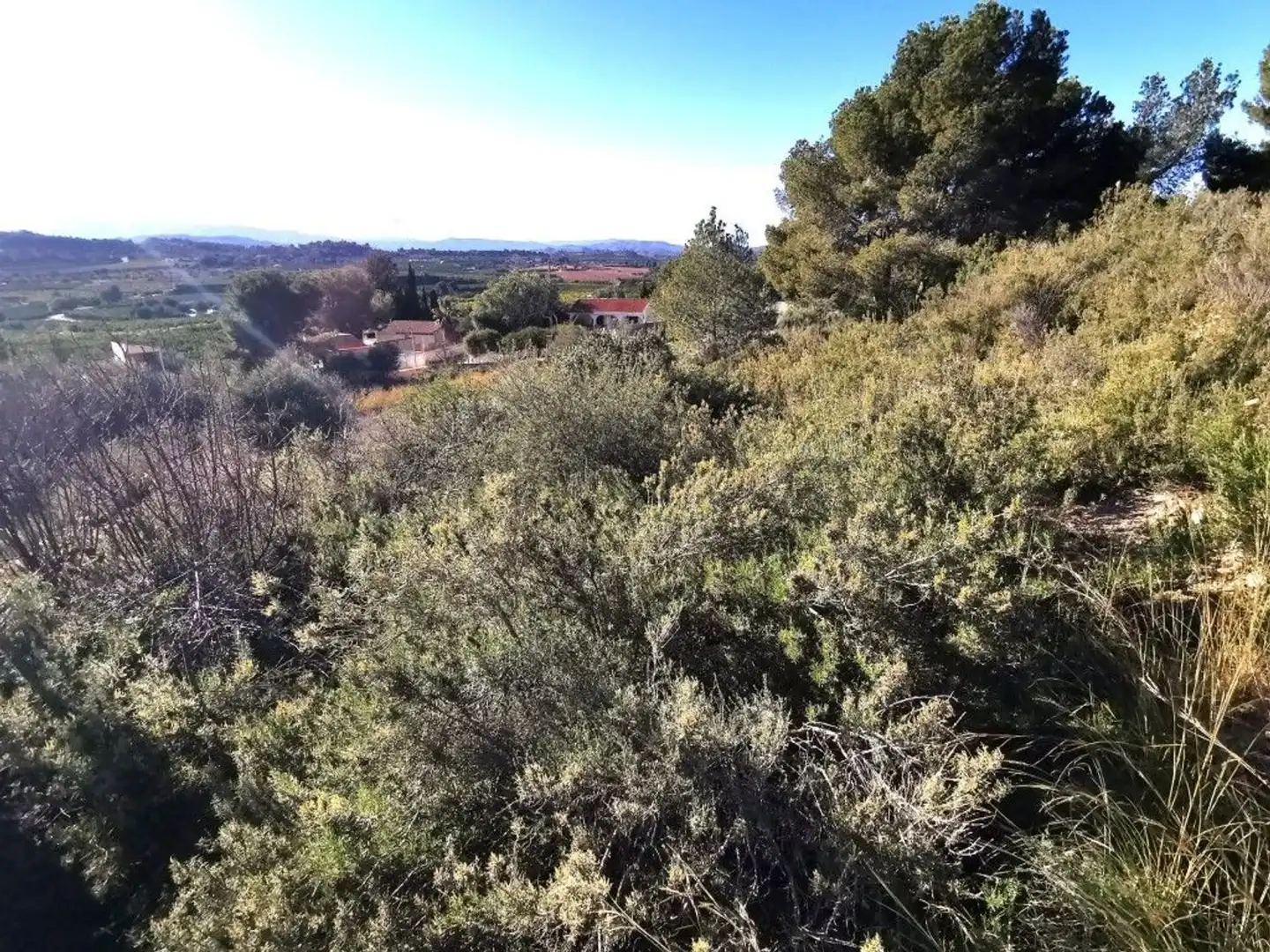 Residencial en venda en Pedralba