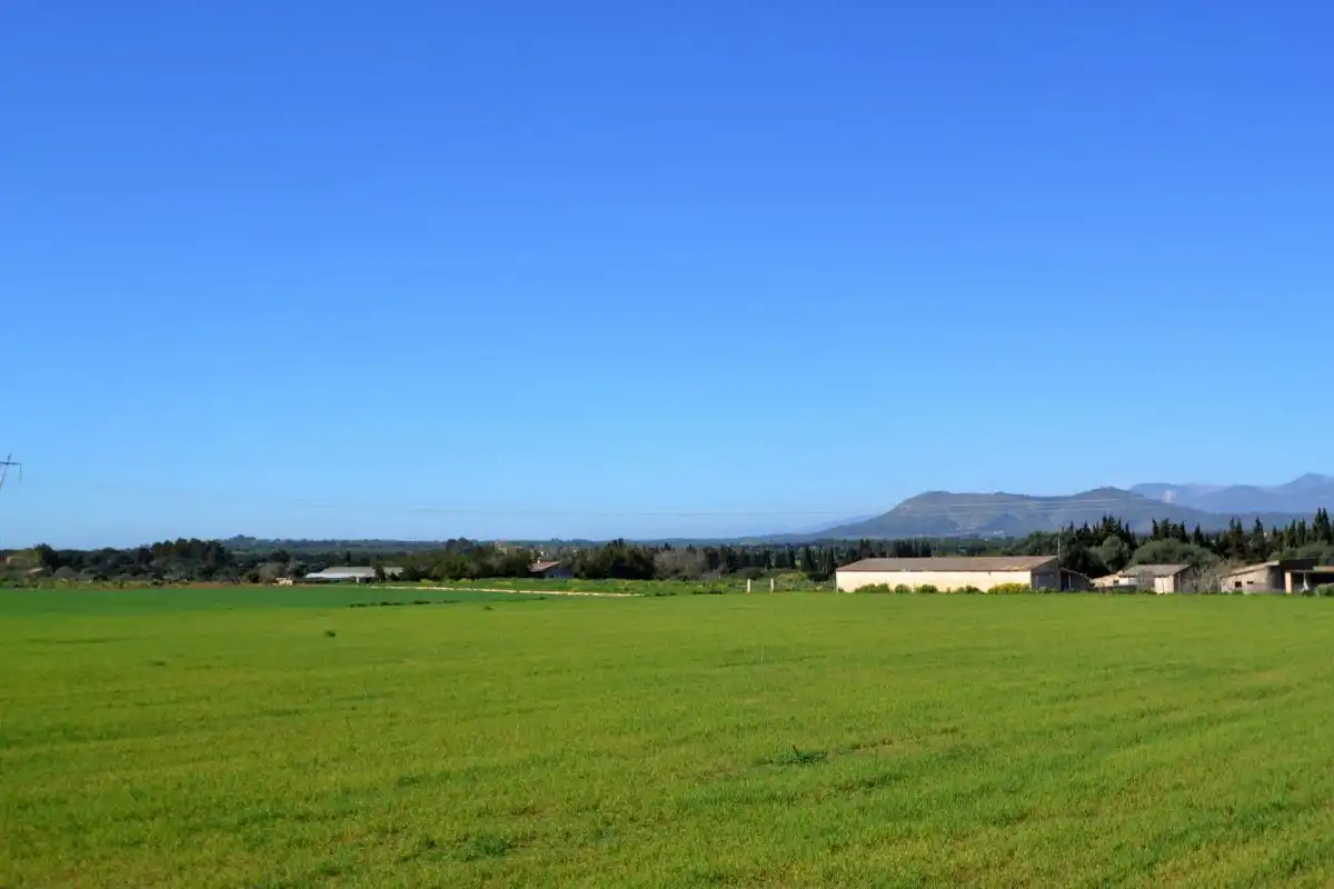 Rural land for sale in Muro