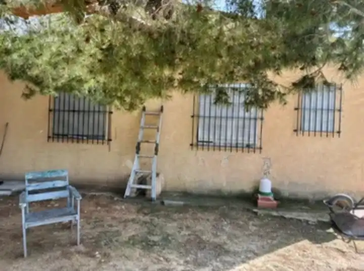 Vista exterior de Casa o xalet en venda en Elche / Elx amb Terrassa