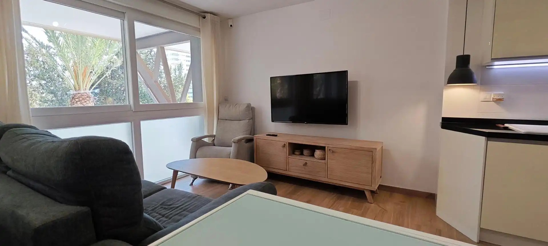 Living room of Apartments for sale in Alicante / Alacant  with Air Conditioner, Private garden and Storage room