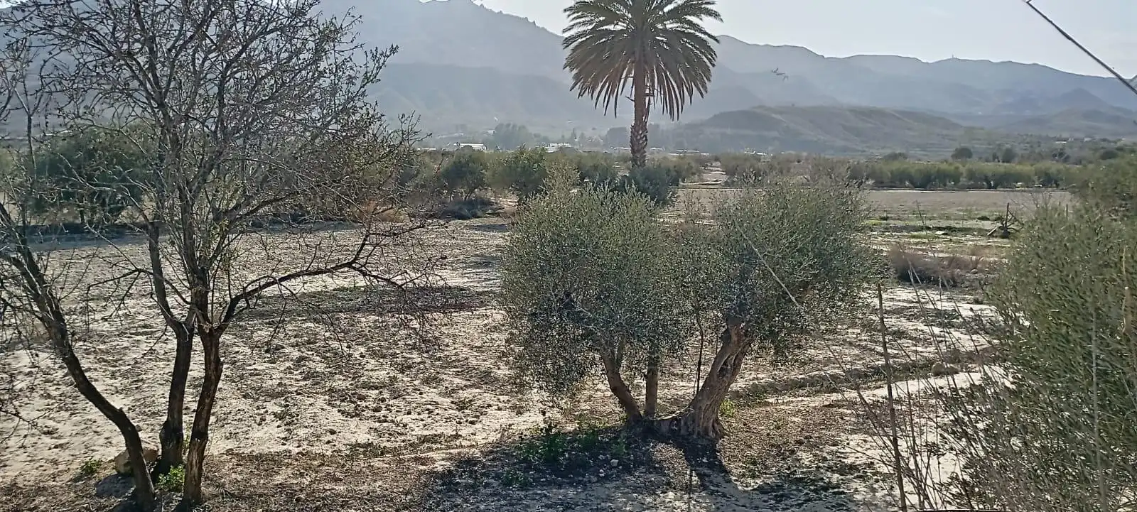 Maison avec jardin à vendre à Mojácar Pueblo, imagen 43