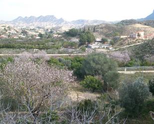 Finca rústica en venda en  Murcia Capital