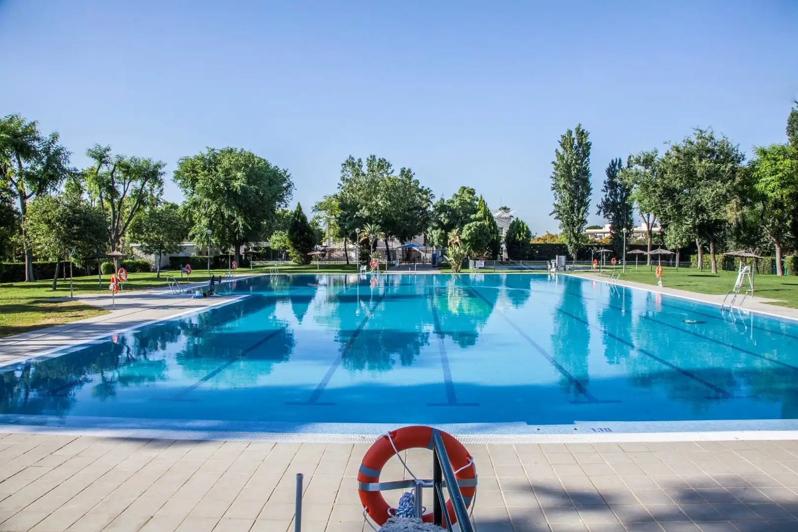 Piscina de Apartamento de alquiler en Mairena del Aljarafe con Aire acondicionado, Calefacción y Terraza