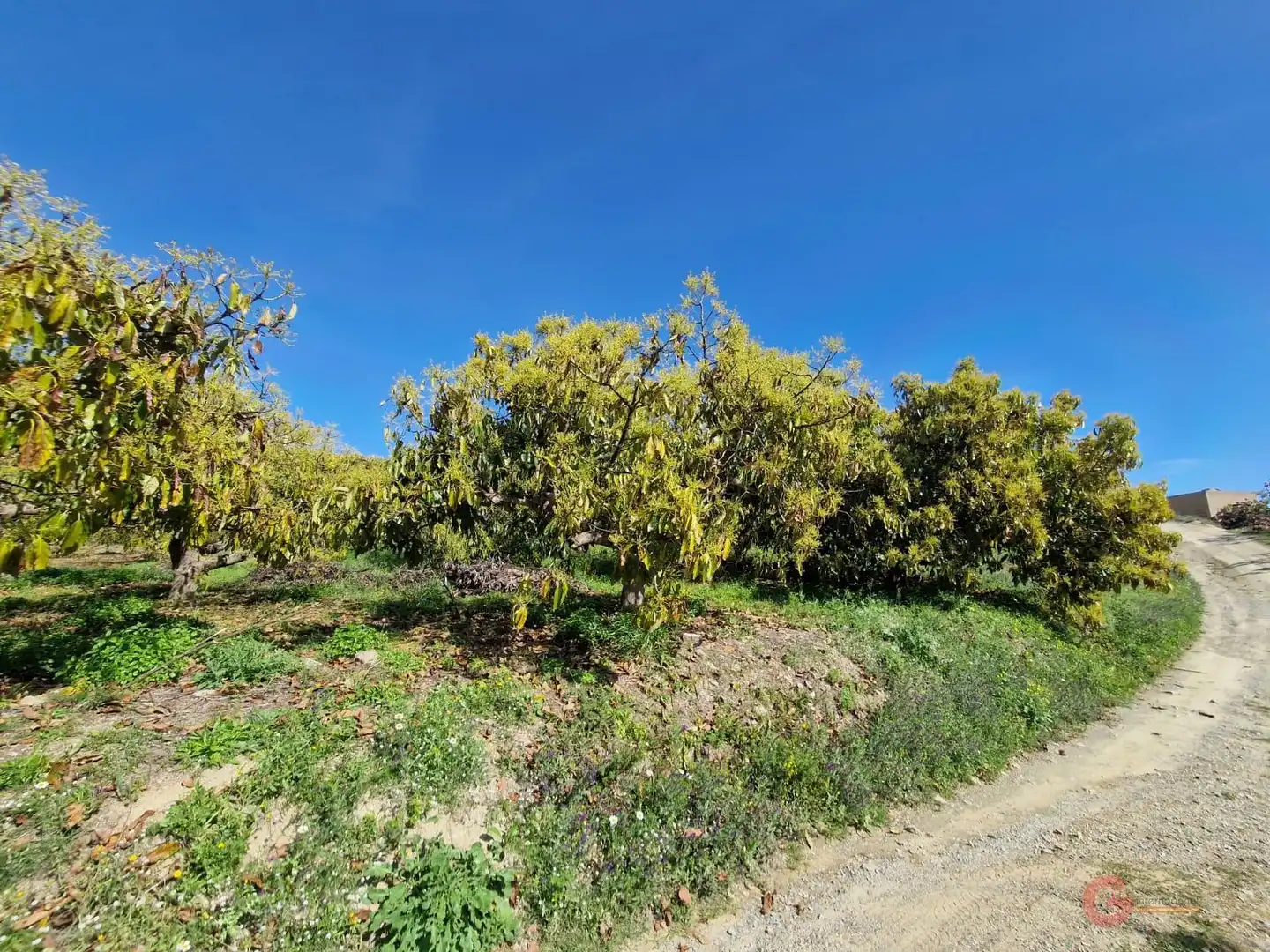 Finca rústica en venda a Lobres