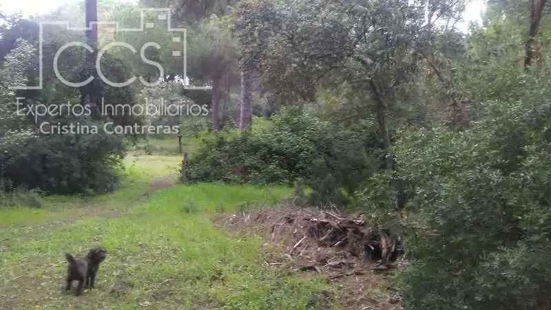 Casa rústica en venda a Almonte ciudad, imagen 15