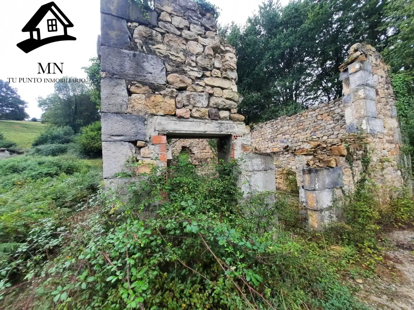 Vista exterior de Finca rústica en venta en Corvera de Toranzo