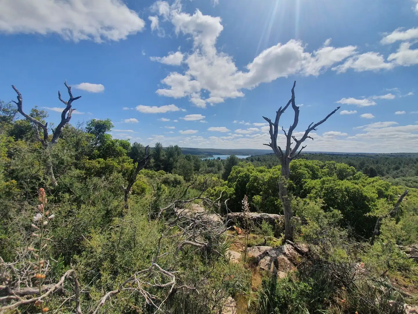 Rural land for sale in Pantano de Peñarroya 0, imagen 5