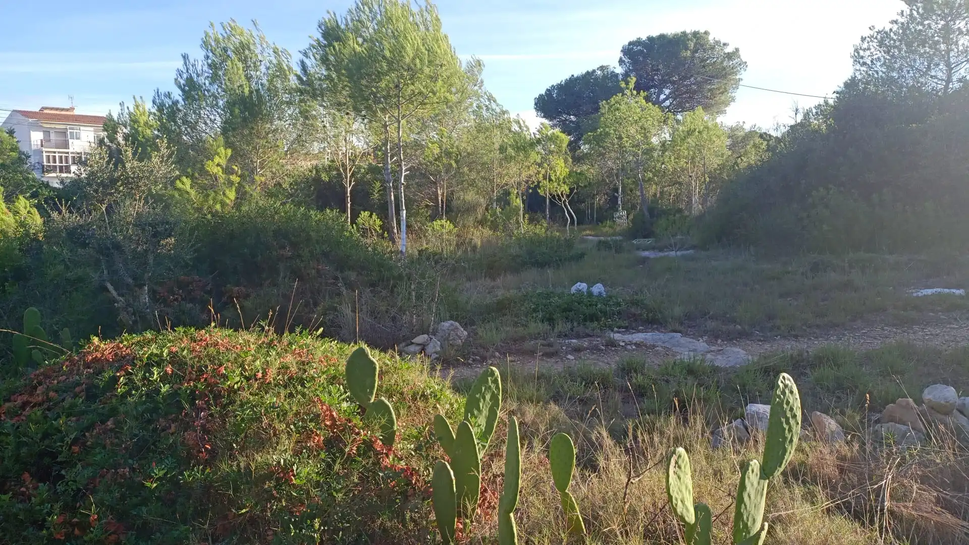Terreno en venta en El Vendrell