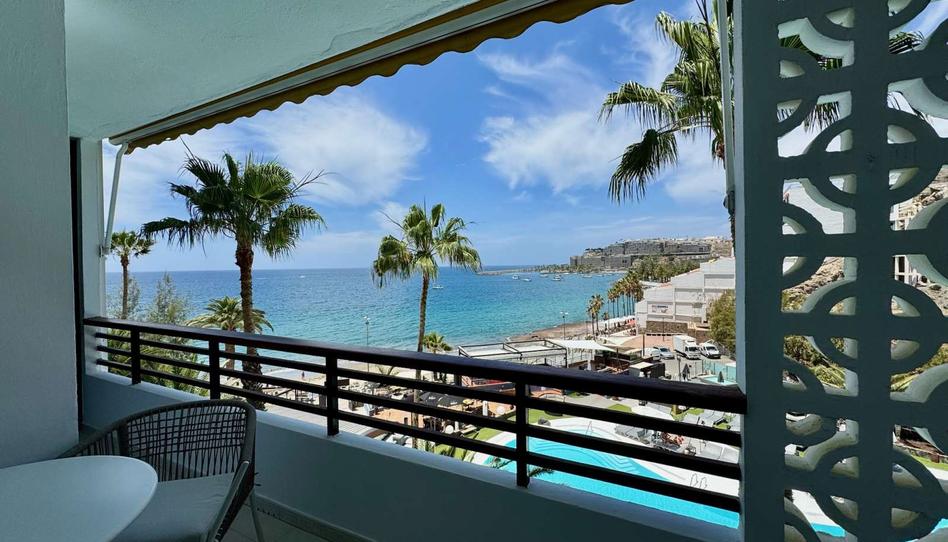 Foto 1 de Estudio para compartir en Arguineguín, Las Palmas